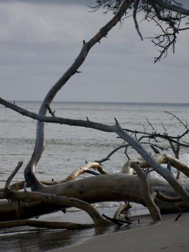 Romantische Strandmomente (100_0860.JPG) wird geladen. Eindrucksvolle Fotos aus Lettland erwarten Sie.